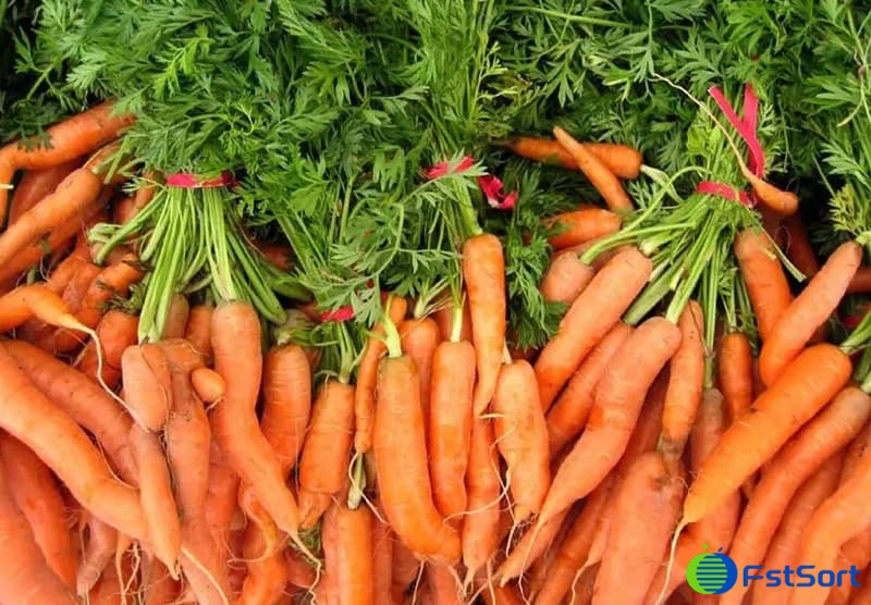 images/1652427618871carrot sorter.jpg